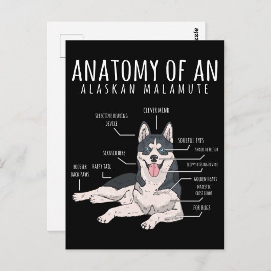 Alaskan Malamute Funny Dog Owner Briefkaart (Voorkant / Achterkant)
