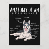 Alaskan Malamute Funny Dog Owner Briefkaart (Voorkant)