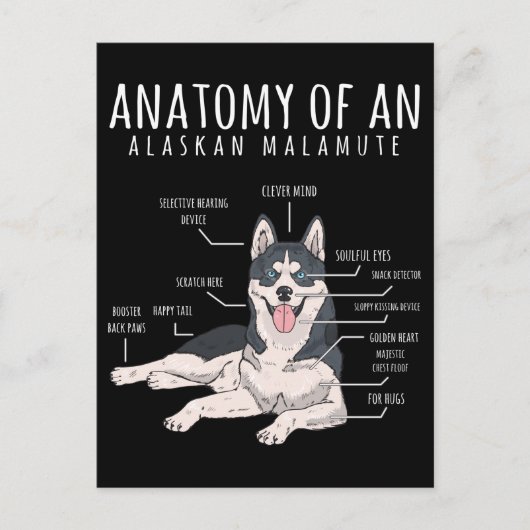 Alaskan Malamute Funny Dog Owner Briefkaart (Voorkant)