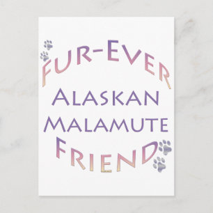 Alaskan Malamute Furever Briefkaart