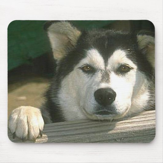Alaskan Malamute - Gepersonaliseerd Muismat (Voorkant)