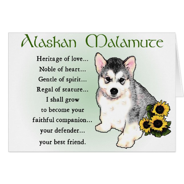 Alaskan Malamute Gifts (Voorkant Horizontaal)