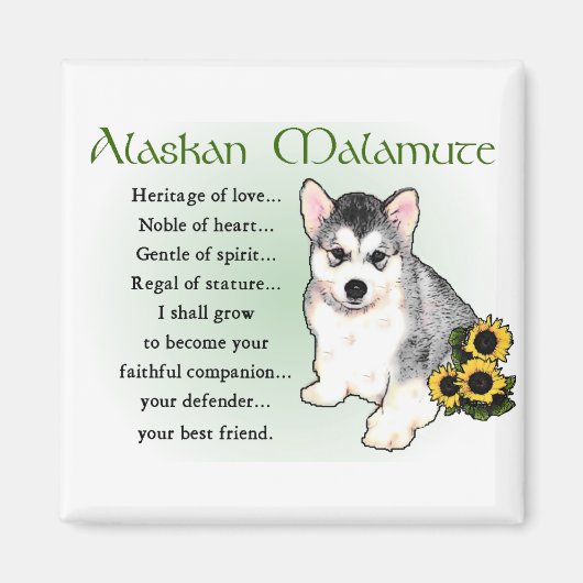 Alaskan Malamute Gifts Magneet (Voorkant)