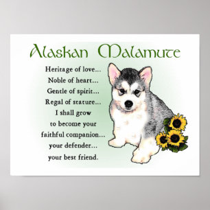 Alaskan Malamute Gifts Poster