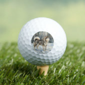 Alaskan Malamute Golfballen (Insitu Shirt)