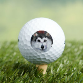 ALASKAN MALAMUTE GOLFBALLEN