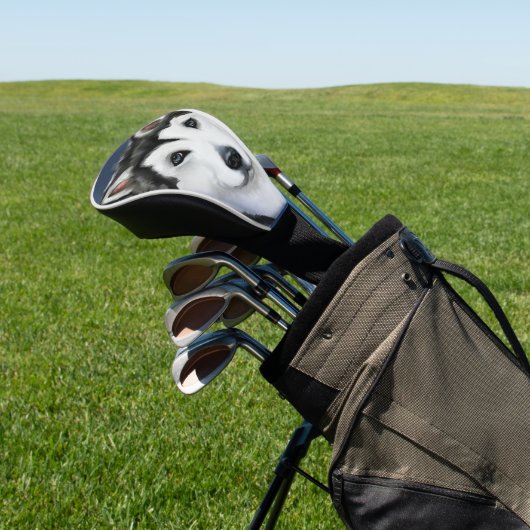 Alaskan Malamute Golfheadcover (Insitu)