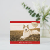 Alaskan Malamute Happy Valentijnsdag briefkaart (Staand voorkant)