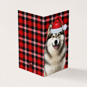 Alaskan Malamute Holiday Plaid Christmas Kaart
