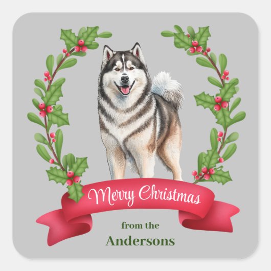 Alaskan Malamute Hond Holly Banner Kerstmis Vierkante Sticker (Voorkant)