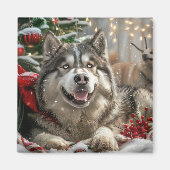 Alaskan Malamute Hond Kerstfeest Magneet (Voorkant)