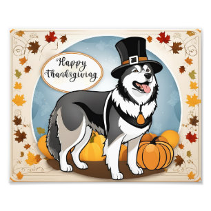 Alaskan Malamute Hond Pelgrim Happy Thanksgiving Foto Afdruk