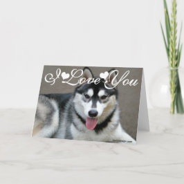 Alaskan Malamute-honden Ik hou van jou Kaart