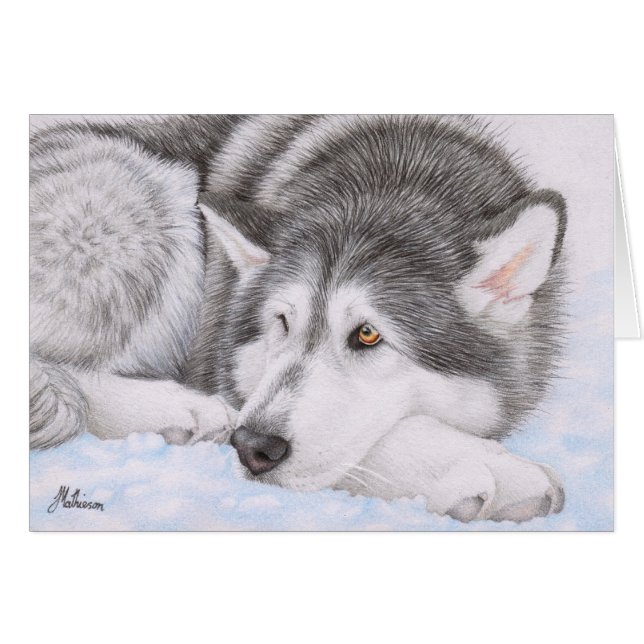 Alaskan Malamute in sneeuw (Voorkant Horizontaal)