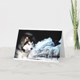 Alaskan Malamute kerstgroet Feestdagen Kaart
