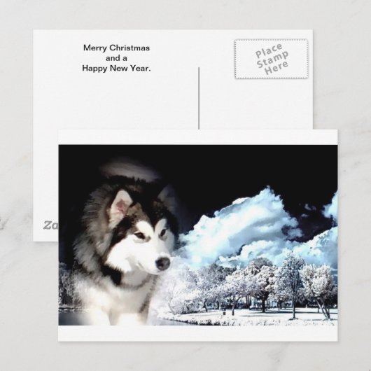 Alaskan Malamute Kerstgroet Feestdagenkaart (Voorkant / Achterkant)