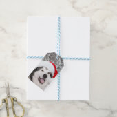 Alaskan Malamute Kerstmis Cadeaulabel (Met Touw)