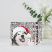 Alaskan Malamute Kerstmis Feestdagenkaart (Staand voorkant)