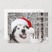 Alaskan Malamute Kerstmis Feestdagenkaart (Voorkant / Achterkant)