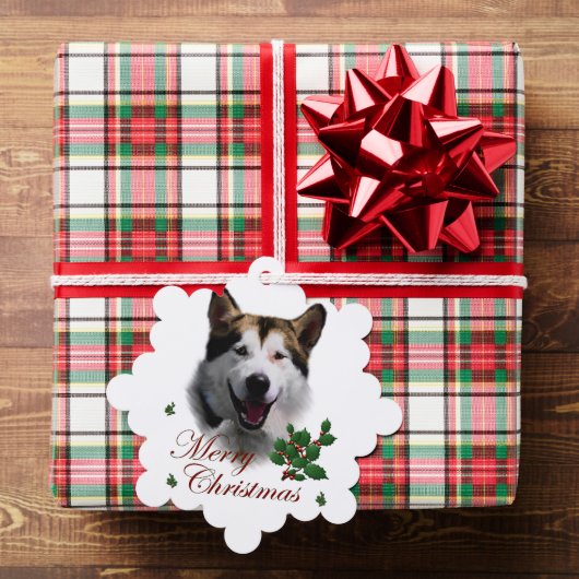 Alaskan Malamute Kerstmis Ornament Kaart (Insitu (Geschenk))
