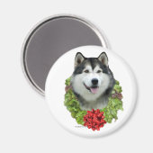 Alaskan Malamute krans - magneet (Voorkant / Achterkant)