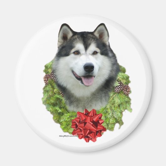 Alaskan Malamute krans - magneet (Voorkant)
