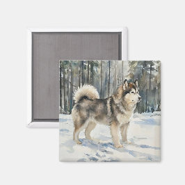 Alaskan Malamute Magneet
