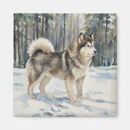 Alaskan Malamute Magneet