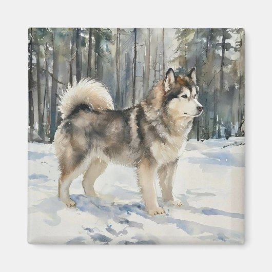 Alaskan Malamute Magneet (Voorkant)