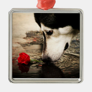Alaskan Malamute met Red Rose Metalen Ornament
