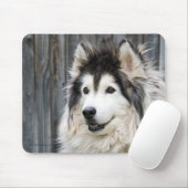 Alaskan Malamute mousepad Muismat (Met muis)