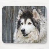 Alaskan Malamute mousepad Muismat (Voorkant)