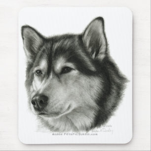 Alaskan Malamute Muismat