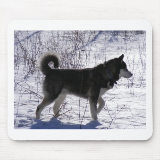 Alaskan Malamute Muismat (Voorkant)
