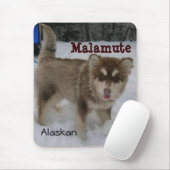 Alaskan Malamute Muismat (Met muis)