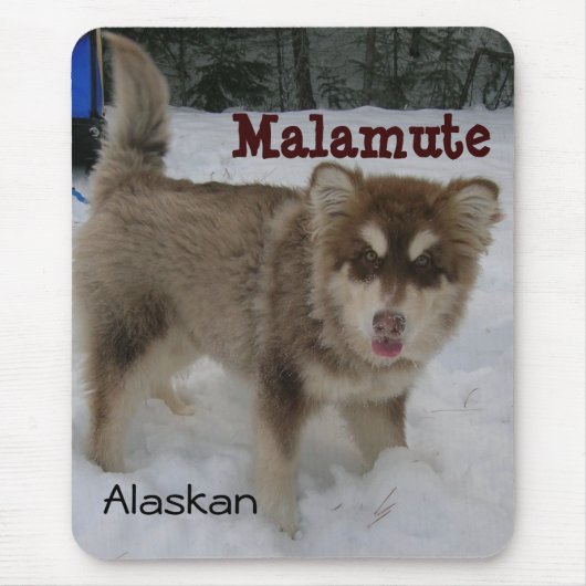 Alaskan Malamute Muismat (Voorkant)
