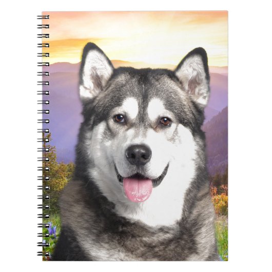 Alaskan Malamute Notitieboek (Voorkant)