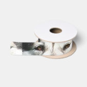 alaskan malamute ogen.png satijnen lint (Spoel)