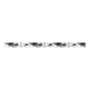 alaskan malamute ogen.png satijnen lint