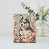 Alaskan malamute  Pasen Briefkaart (Staand voorkant)
