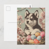 Alaskan malamute  Pasen Briefkaart (Voorkant / Achterkant)