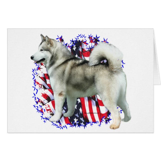 Alaskan Malamute Patriot (Voorkant Horizontaal)