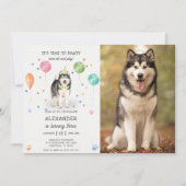 Alaskan Malamute Pawty Puppy Verjaardag Roze Foto Kaart (Voorkant)