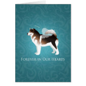 Alaskan Malamute Pet verliest sympathie (Voorkant)