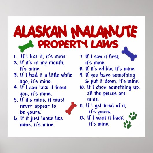 ALASKAN MALAMUTE PL2 POSTER (Voorkant)