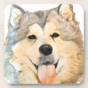 Alaskan Malamute Portrait Drankjes Onderzetter