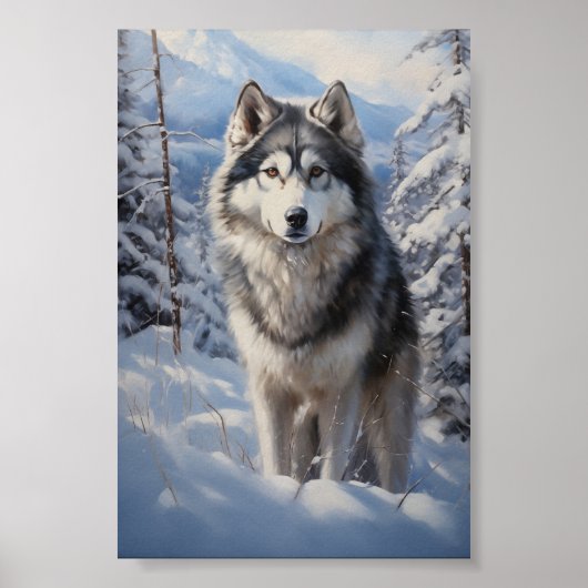 Alaskan Malamute Poster (Voorkant)