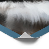 Alaskan Malamute Poster (Hoek)