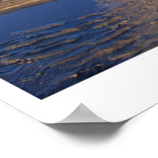 Alaskan Malamute Poster (Hoek)