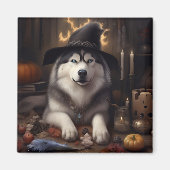 Alaskan Malamute Pumpkins Halloween Scary Magneet (Voorkant)